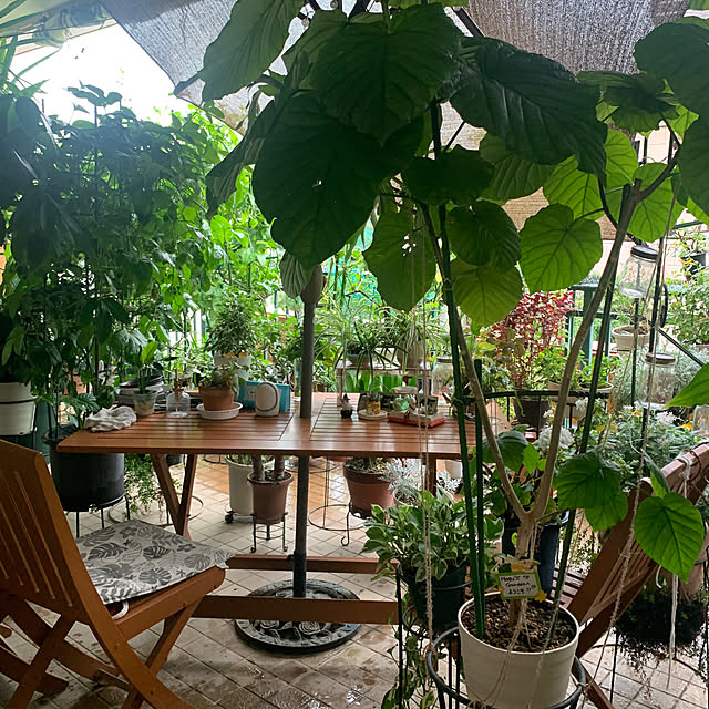 Aqettyさんの部屋