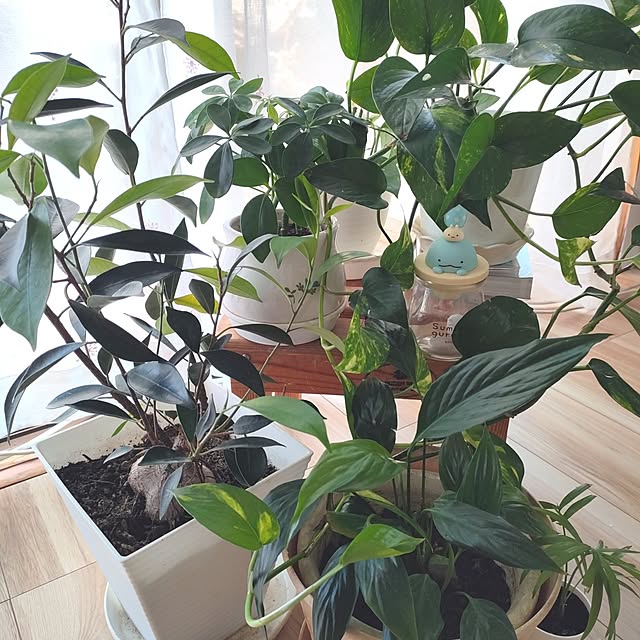 frorenさんの実例写真