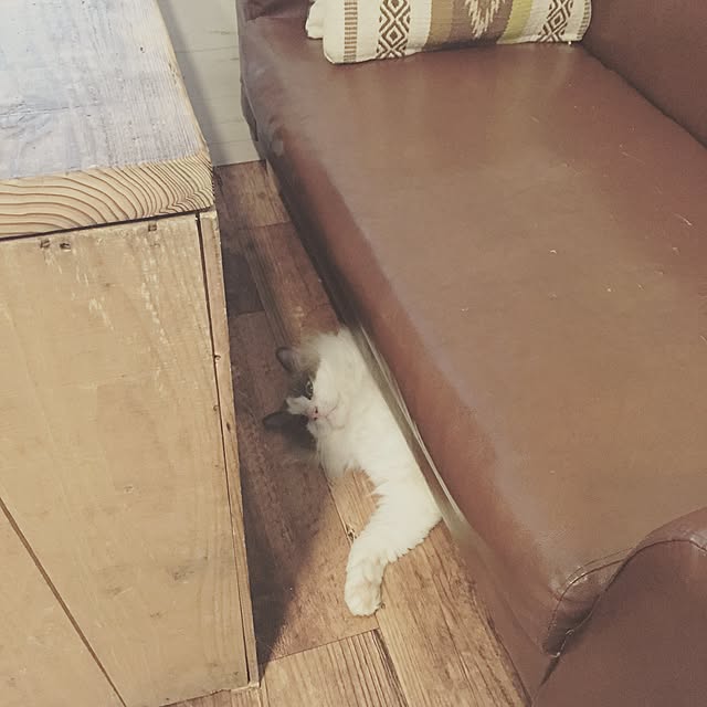 runtenさんの実例写真