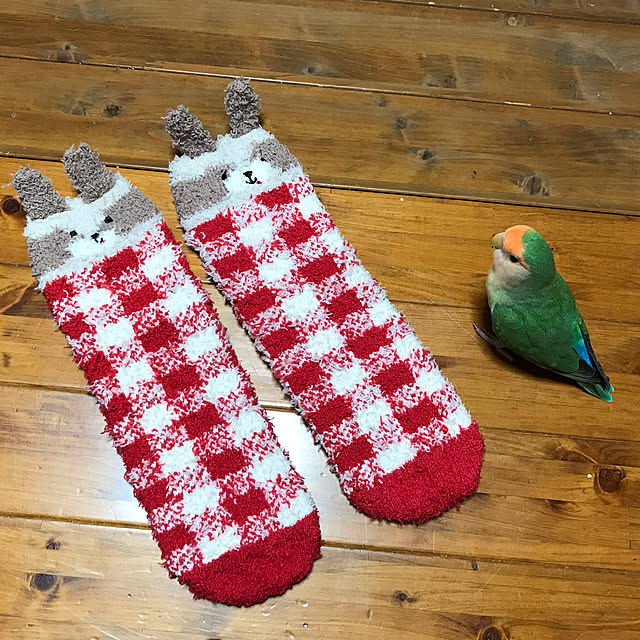aoinokimiさんの実例写真