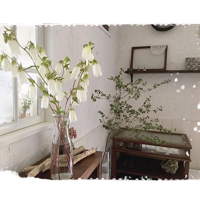 mocoさんの実例写真