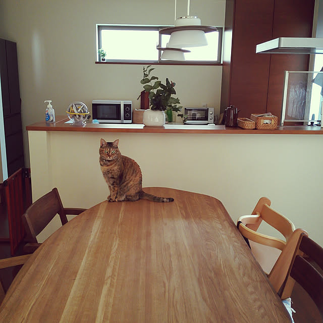 Yukさんの実例写真