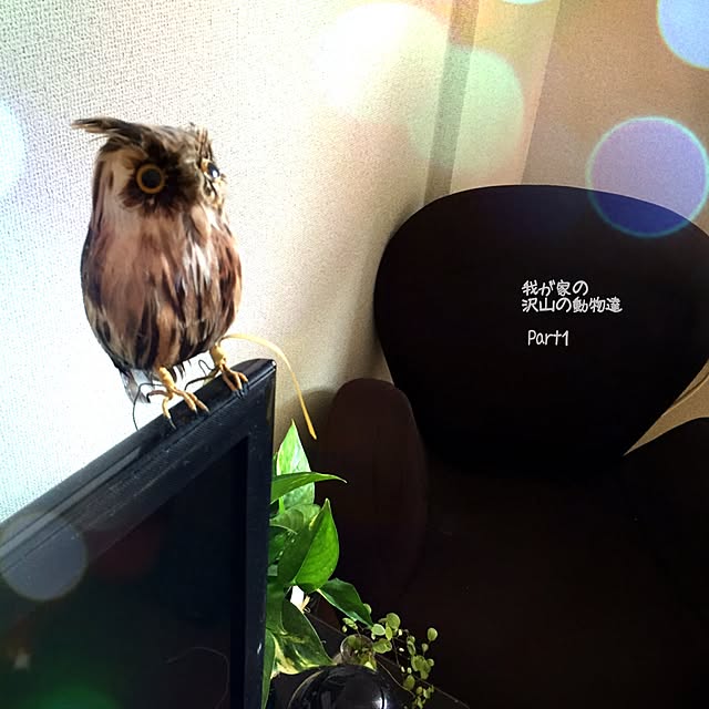 cha.cha.1030さんの実例写真