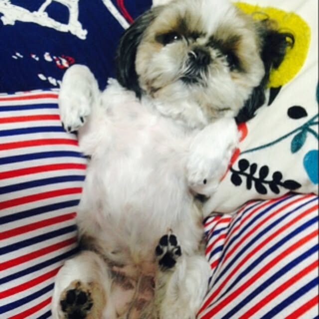 pepeさんの実例写真