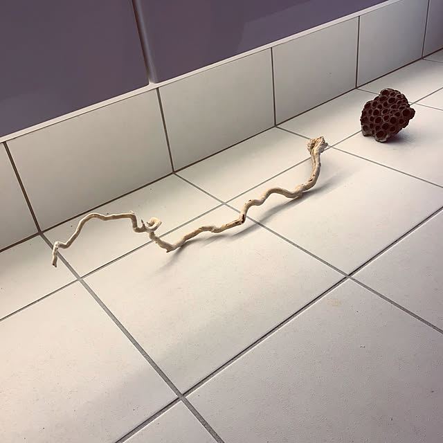 riakanaさんの実例写真