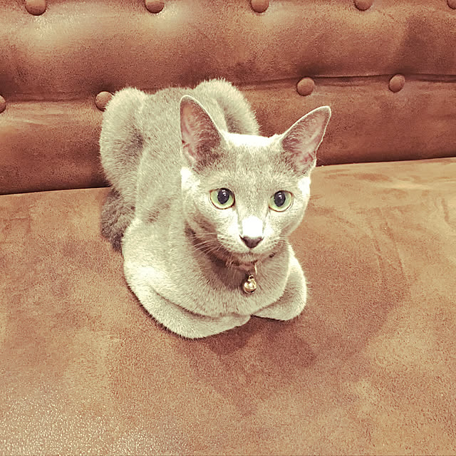 kaoriさんの実例写真