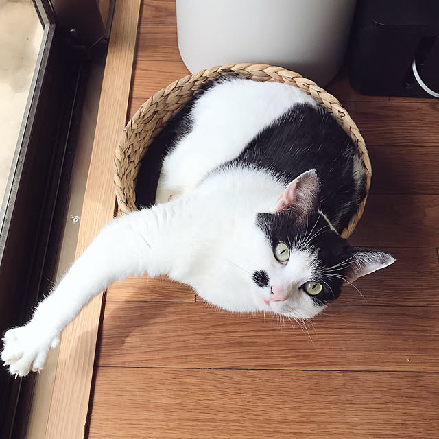 nicoさんの実例写真