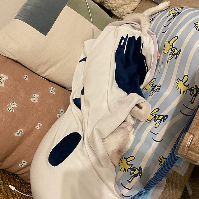 hanaさんの部屋