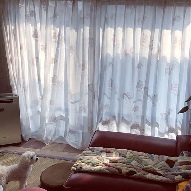 MARIRINさんの実例写真