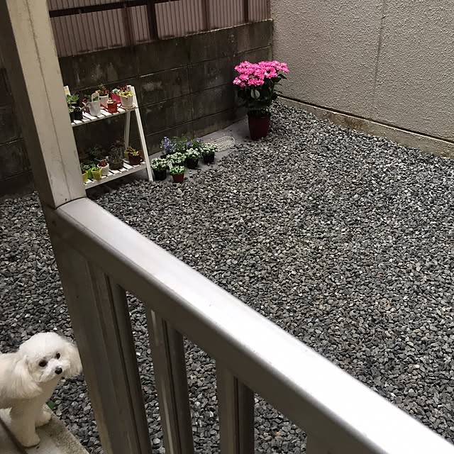 sei.hugさんの実例写真
