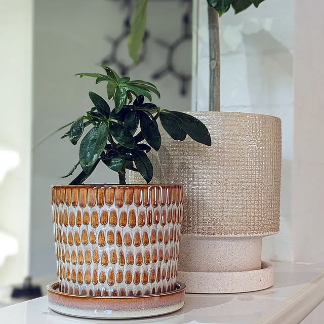 kumijiさんの実例写真