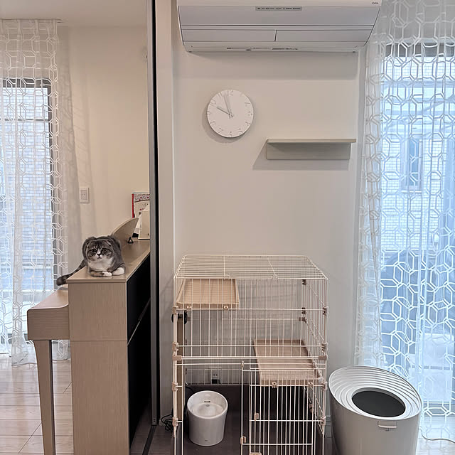 kikujiroさんの実例写真