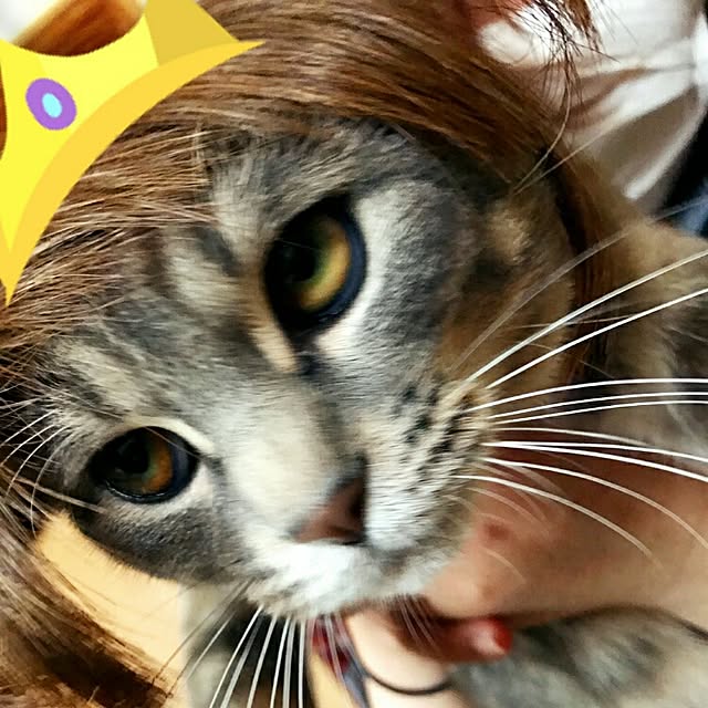 oyumiさんの実例写真