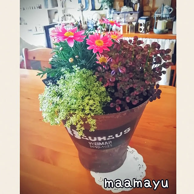 mayuさんの実例写真