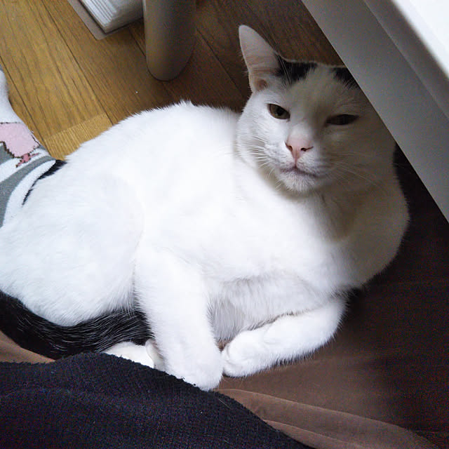 yukieさんの実例写真