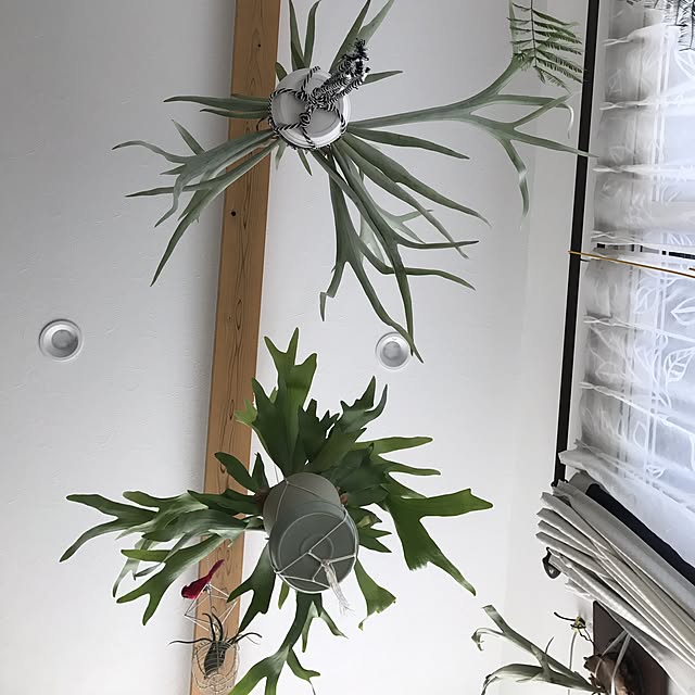 MiRiderさんの実例写真