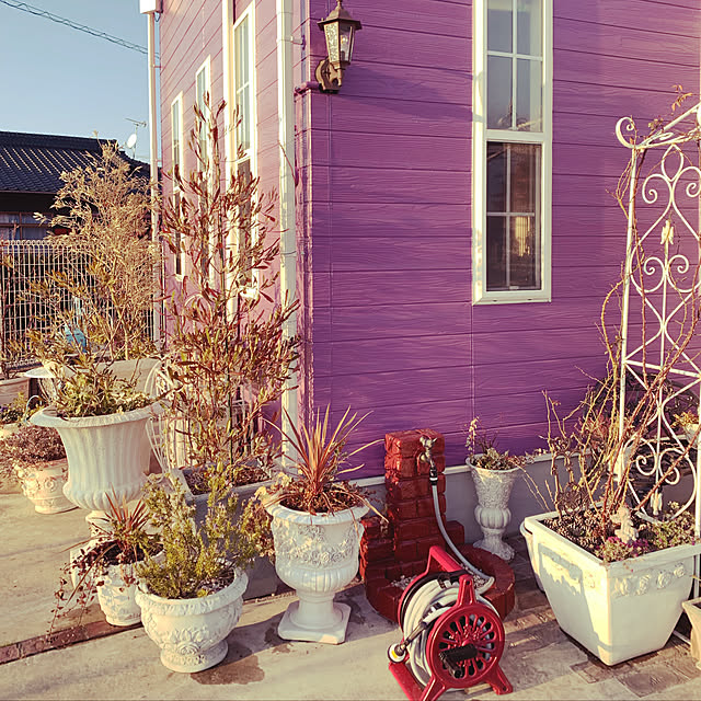 AYUKOさんの実例写真