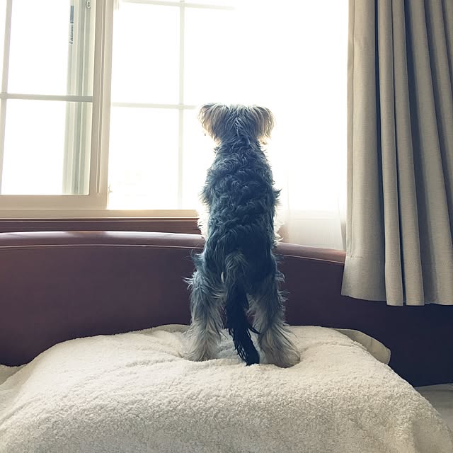 misacoさんの実例写真