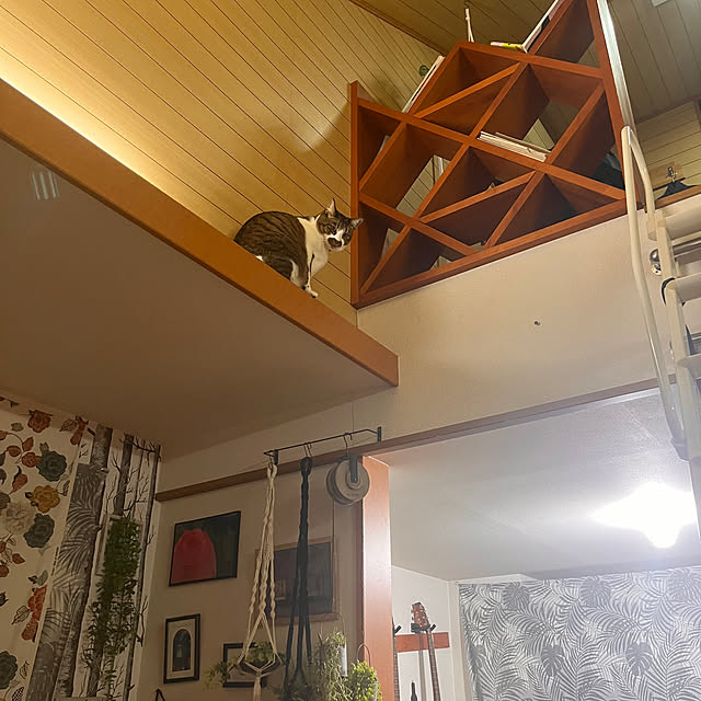 jijiさんの実例写真