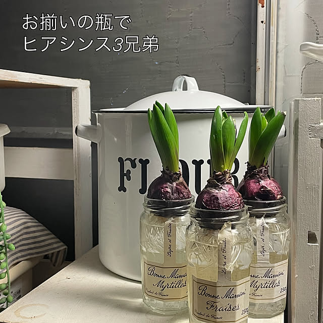 hanaさんの実例写真