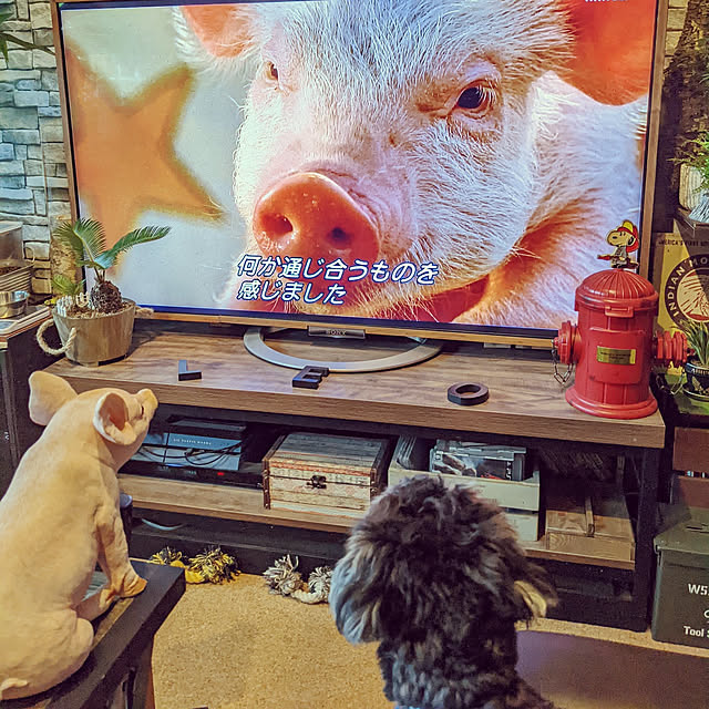 GINさんの実例写真