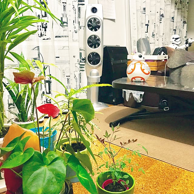 tsurumokuさんの実例写真