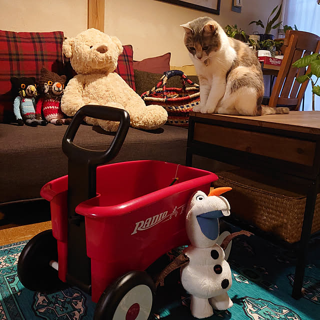 fukuさんの実例写真