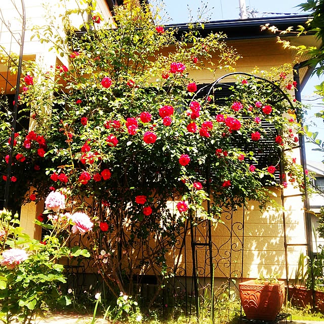 Tomopさんの実例写真