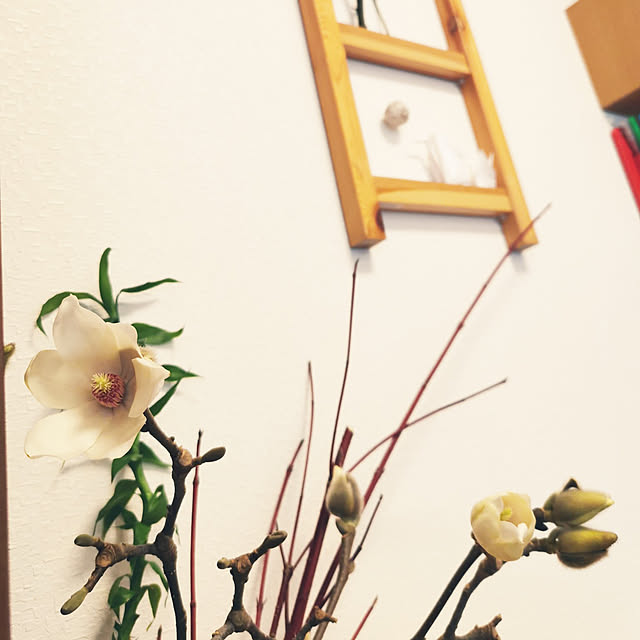 y.kojia79さんの実例写真