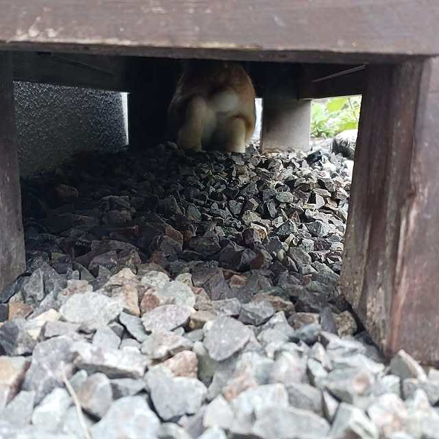aiさんの部屋