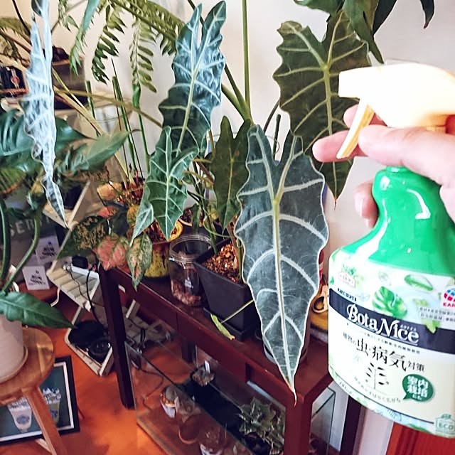 ot-gardenさんの部屋