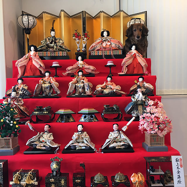 hisaminさんの実例写真