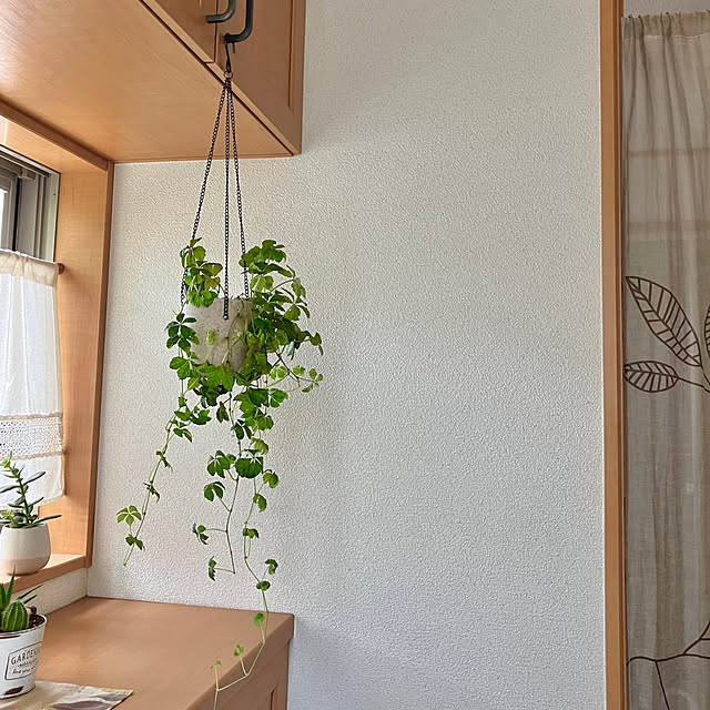 RoCoさんの実例写真