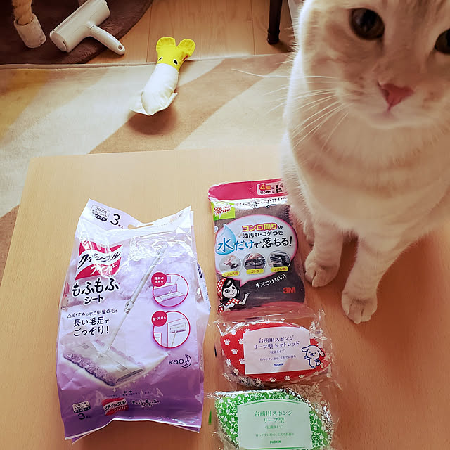 makoさんの実例写真