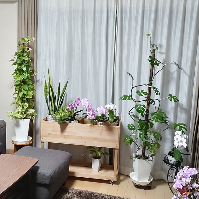 akiwaka-roomさんの実例写真
