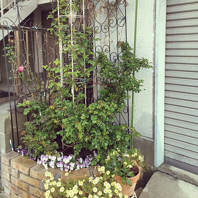 greenroseさんの実例写真