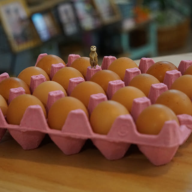 asさんの部屋
