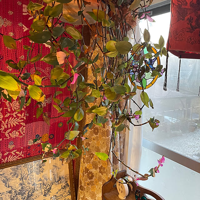 shin0719さんの部屋