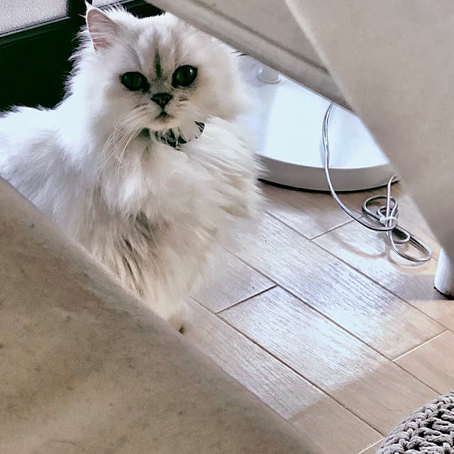 roseroseroseさんの部屋