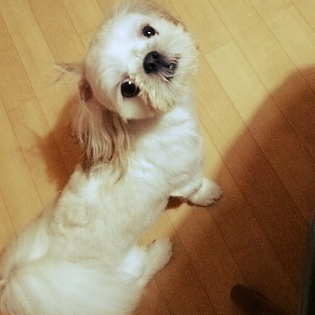 Reiさんの実例写真