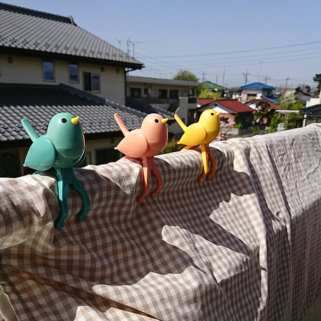 PAOさんの実例写真