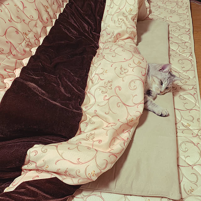 anonさんの実例写真