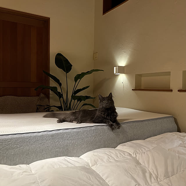 Kikko.さんの実例写真