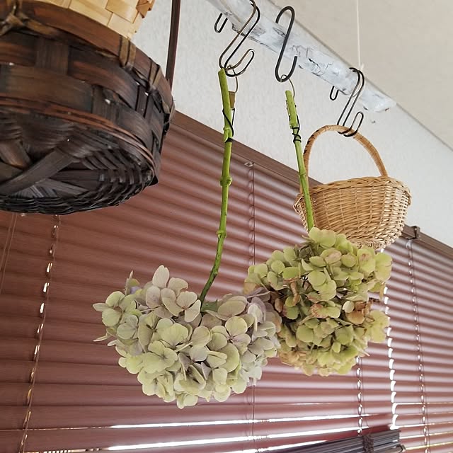 midoriさんの部屋