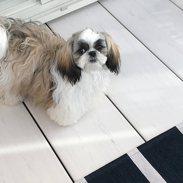 maricomariさんの実例写真