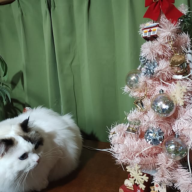 sawa0127さんの実例写真