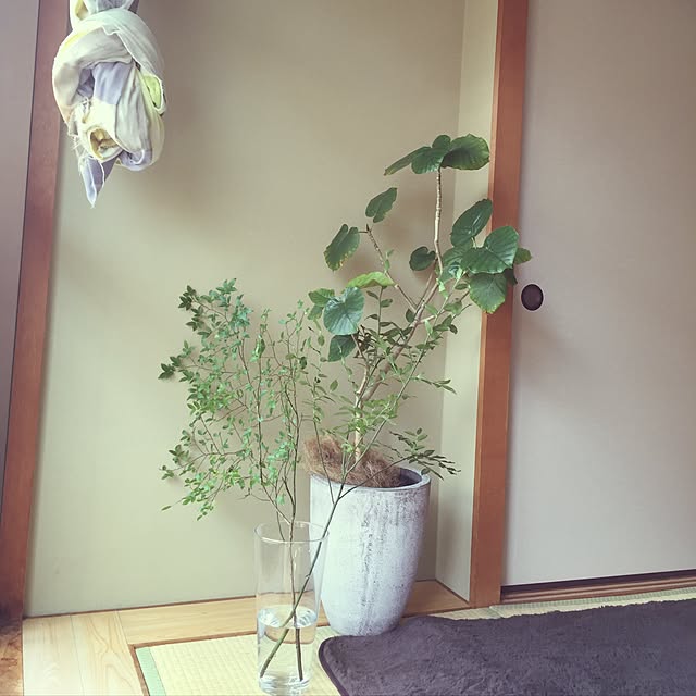 215dayoさんの実例写真