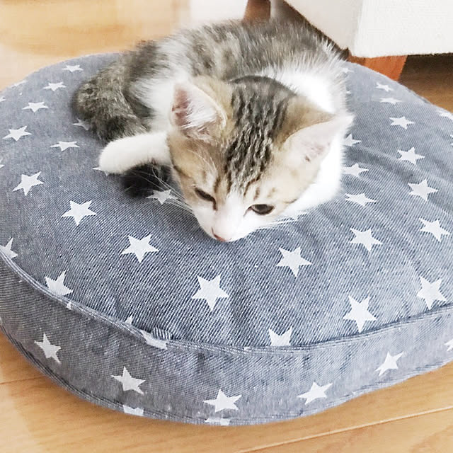 mya___kさんの実例写真