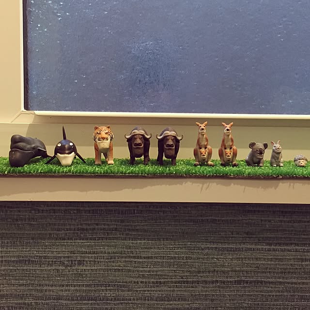 maicoさんの実例写真