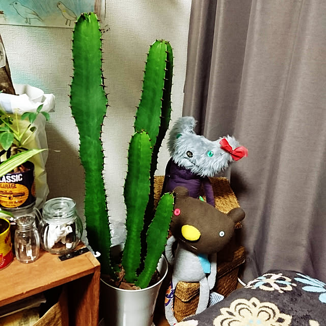s.p.sunaoさんの実例写真
